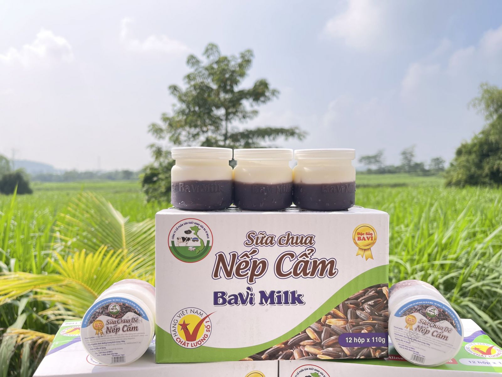 Sữa Chua Nếp Cẩm Ba Vì Chị Vàng & Siêu Thị Gia Dụng Tot Shop - Myquang.vn