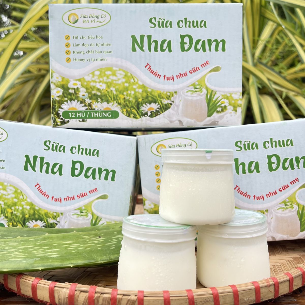 sua-chua-nha-đam-ba-vi