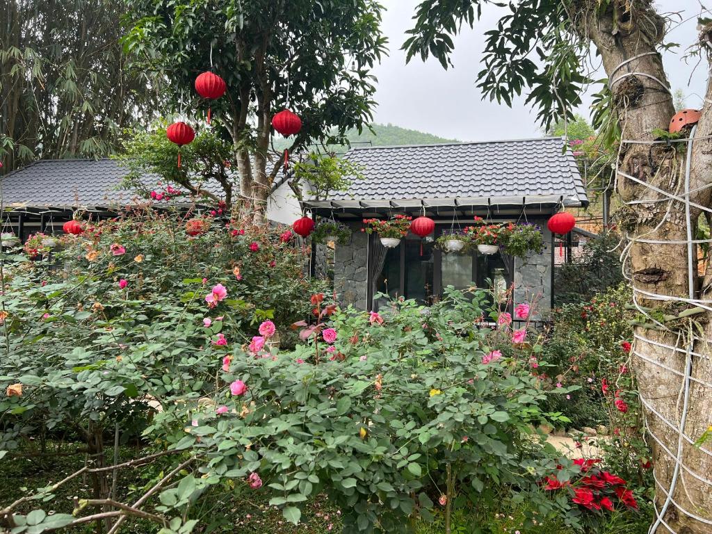 rose-garden-homestay-ba-vi-ha-noi