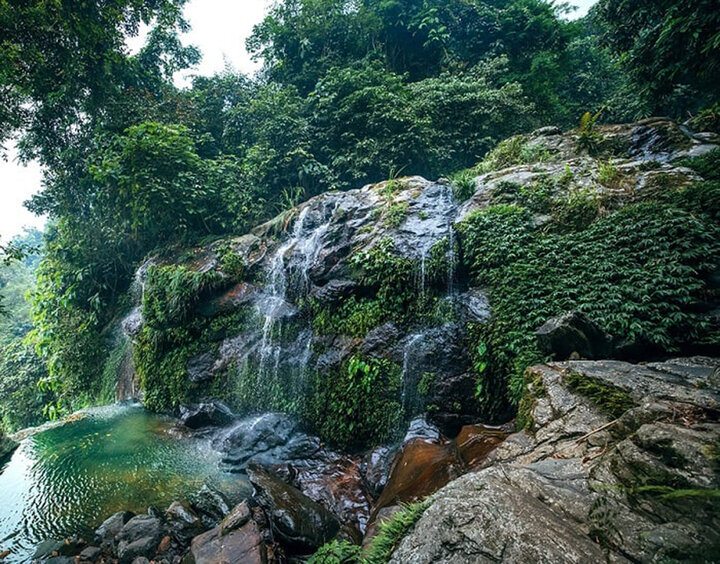 suoi-oi-ba-vi-Ha-Noi