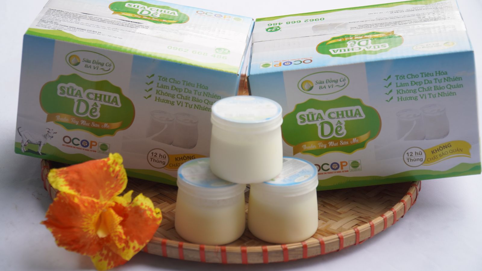 Sữa Chua Nông trai Dê Myfarm - SP OCOP 4 Sao Hà Nội