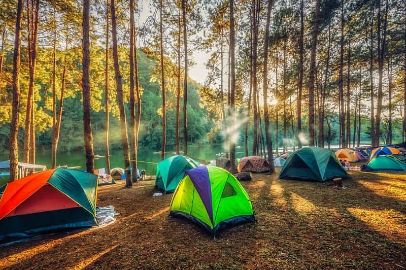 Kinh nghiệm cắm trại ở Vườn Quốc Gia Ba Vì chi tiết từ A-Z | Trekking ...