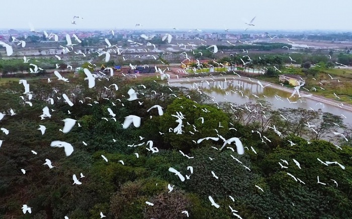 Đảo Cỏ Thanh Miện, thiên đường du lịch sinh thái