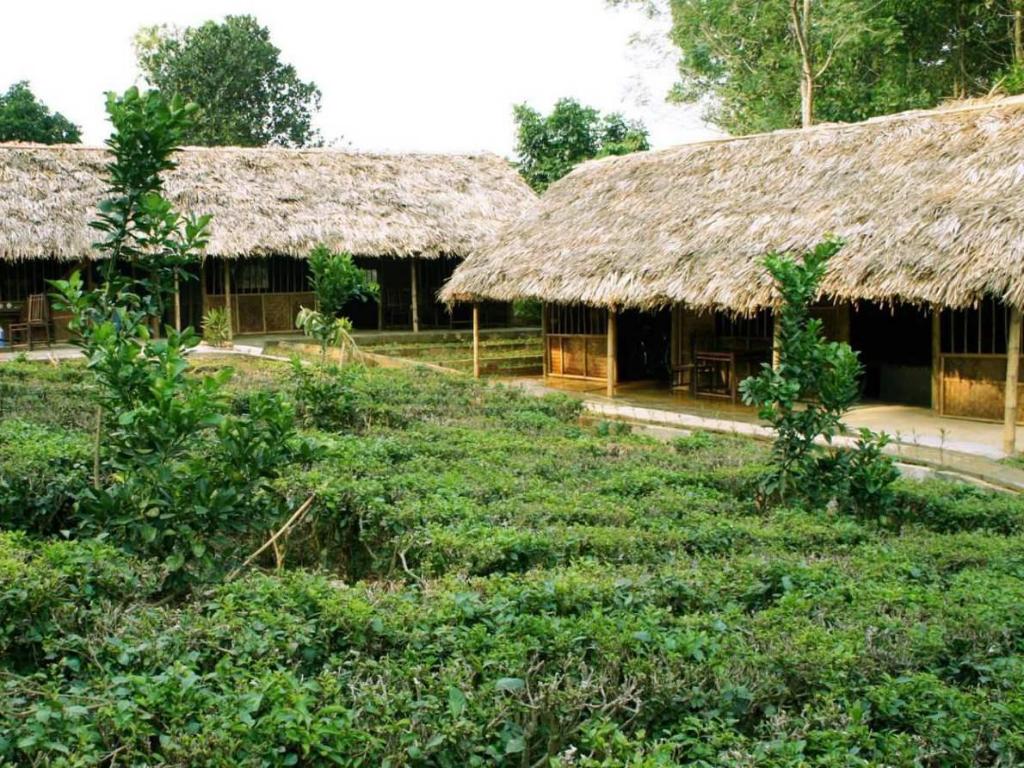 Family Homestay Ba Vì _ Nơi cho du khách trải nghiệm cuộc sống thôn quê ...