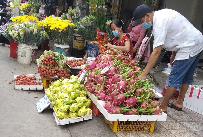 Vì sao thanh long vàng độc - lạ nhưng vẫn rớt giá thảm hại? | TIN TỨC ...